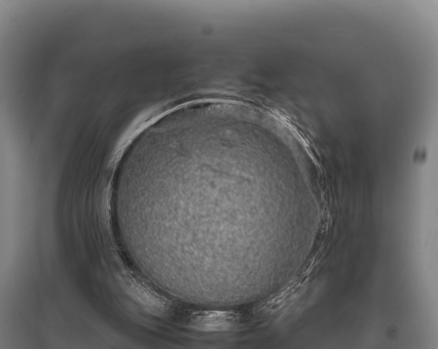 X0000095950151200801181430