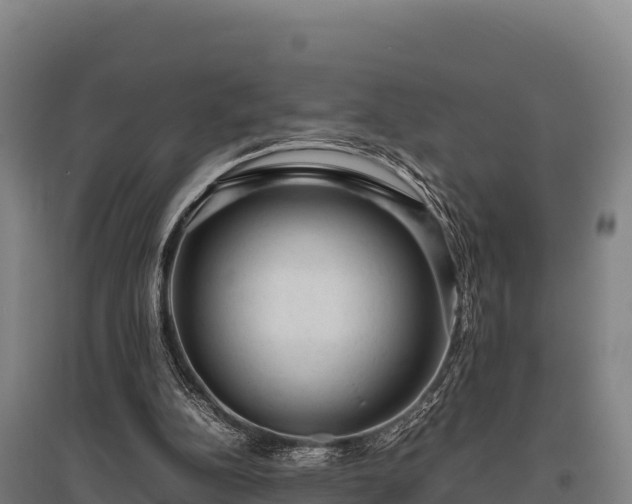 X0000095950152200801181430