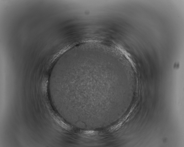 X0000095950153200801181430