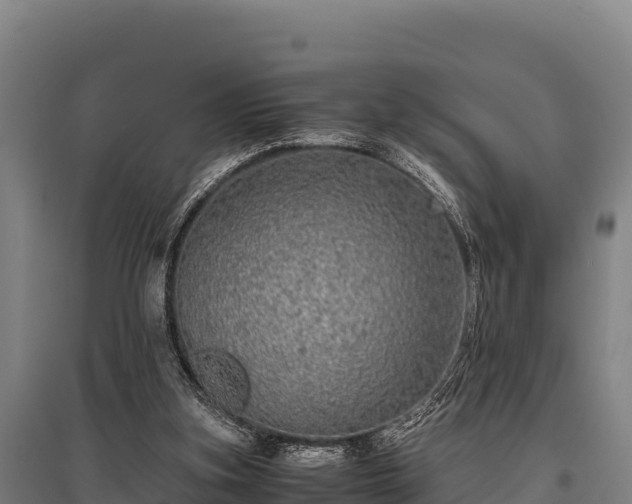 X0000095950155200801181430