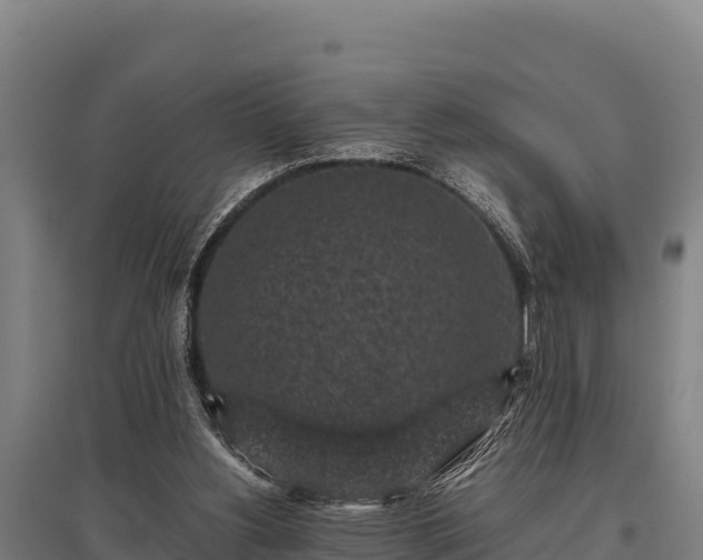 X0000095950156200801181430