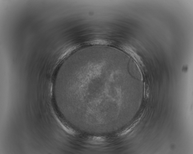 X0000095950157200801181430