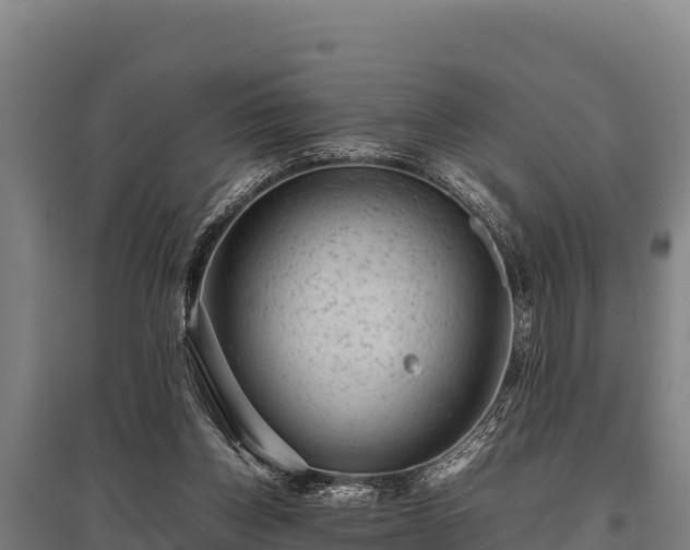 X0000095950158200801181430