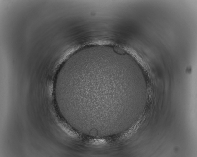 X0000095950159200801181430