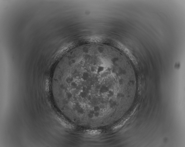 X0000095950161200801181430