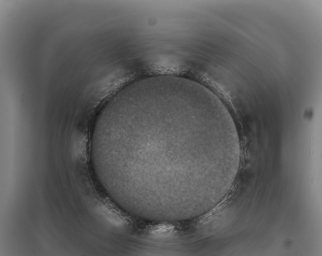 X0000095950162200801181430