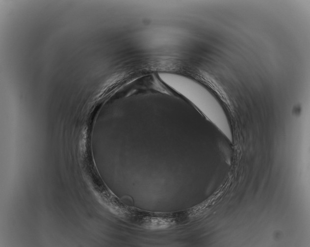 X0000095950163200801181430