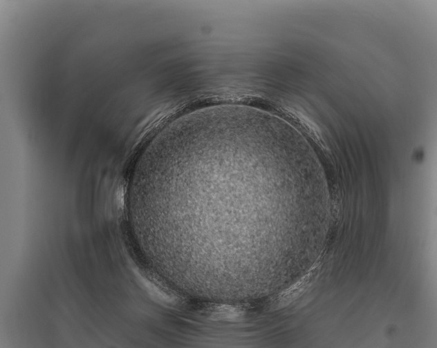 X0000095950166200801181430