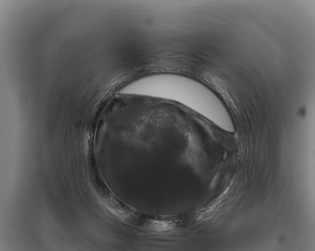 X0000095950167200801181430