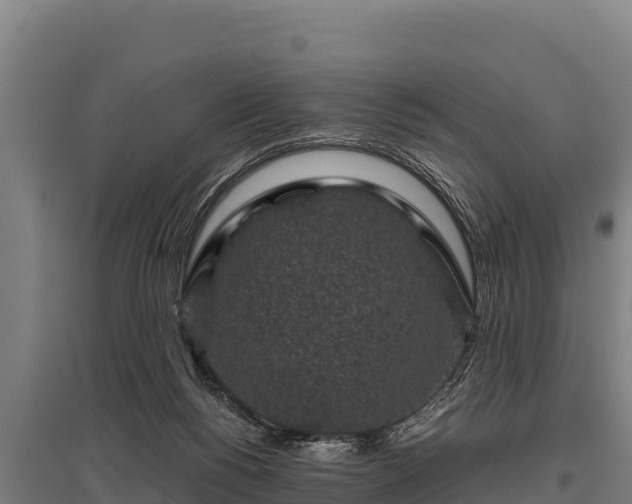 X0000095950168200801181430