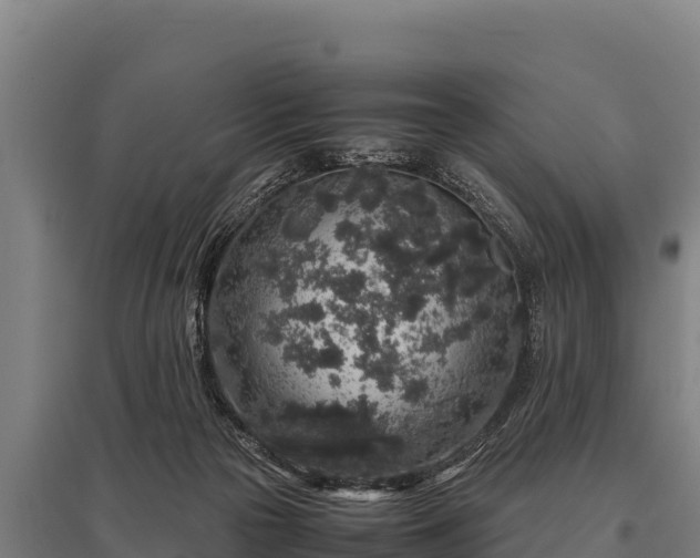 X0000095950169200801181430