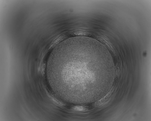 X0000095950171200801181430