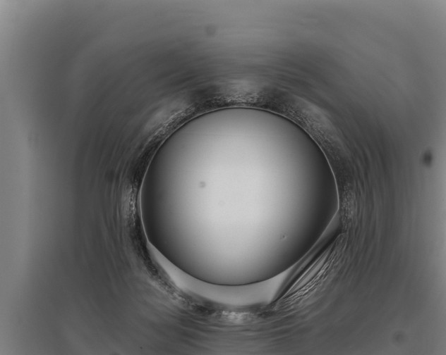 X0000095950172200801181430