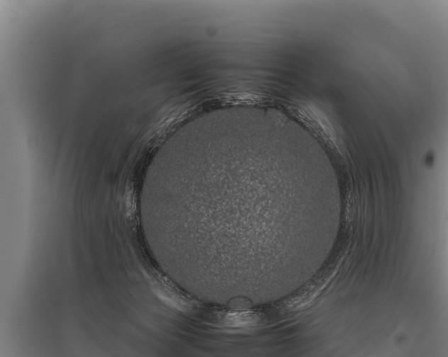 X0000095950173200801181430