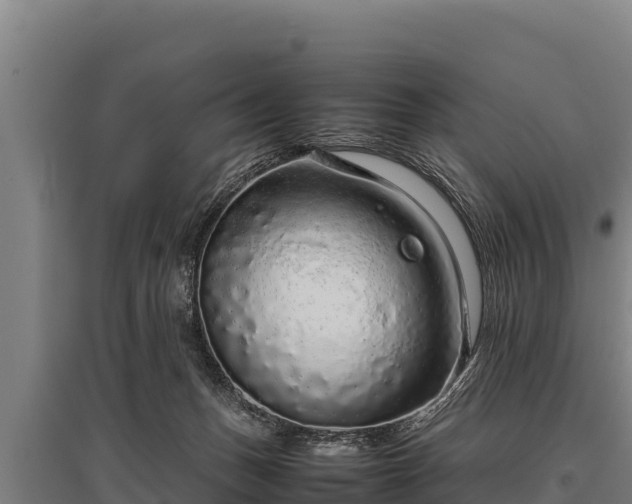 X0000095950175200801181430