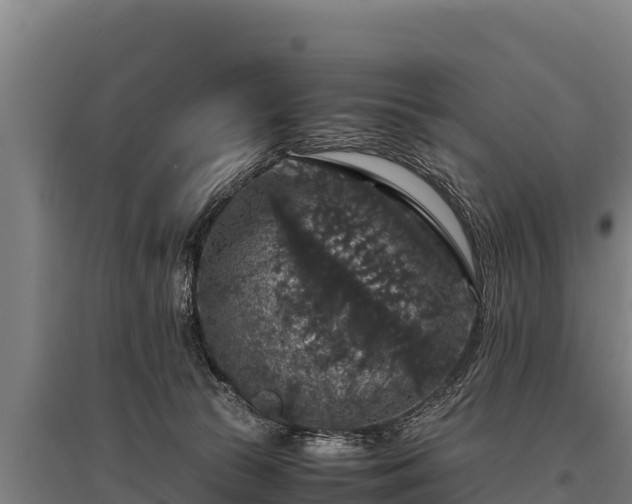 X0000095950177200801181430