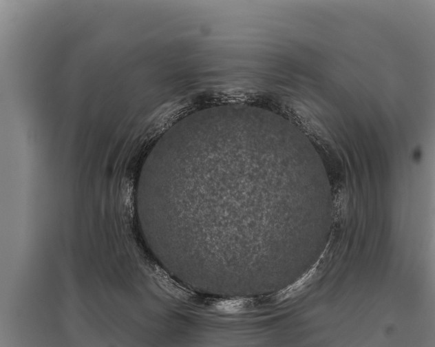 X0000095950178200801181430