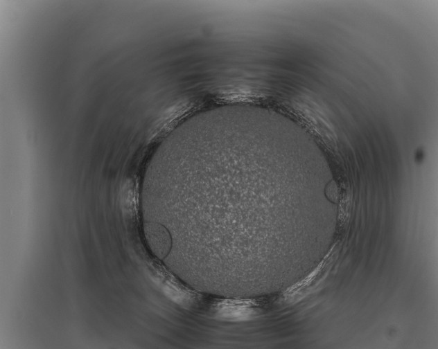 X0000095950179200801181430