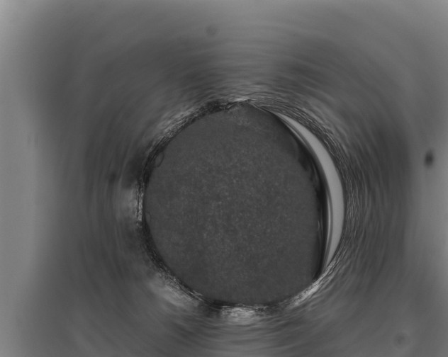 X0000095950180200801181430