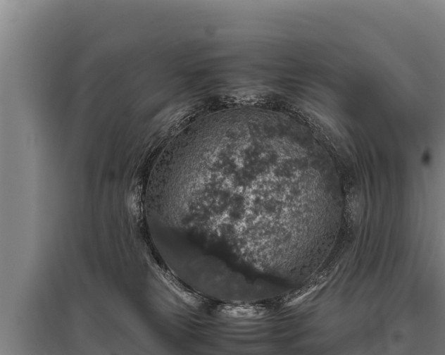 X0000095950181200801181430