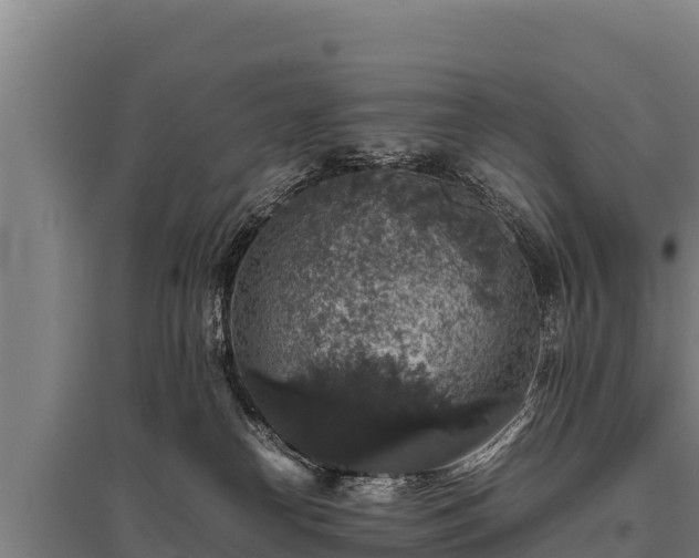 X0000095950182200801181430