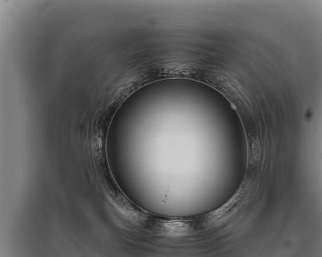 X0000095950183200801181430