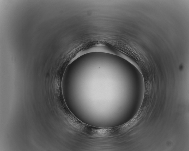 X0000095950184200801181430