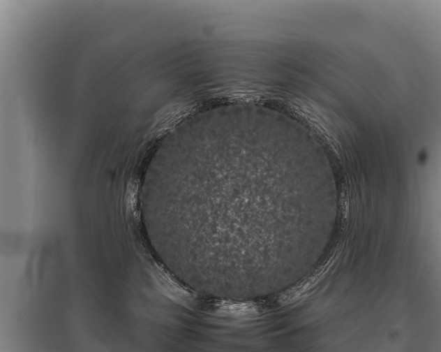 X0000095950185200801181430