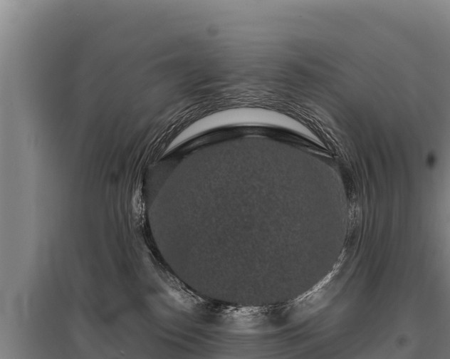 X0000095950186200801181430