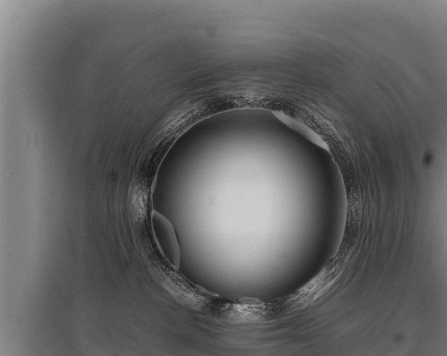 X0000095950188200801181430