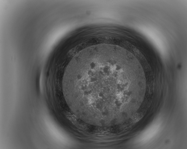 X0000095950189200801181430