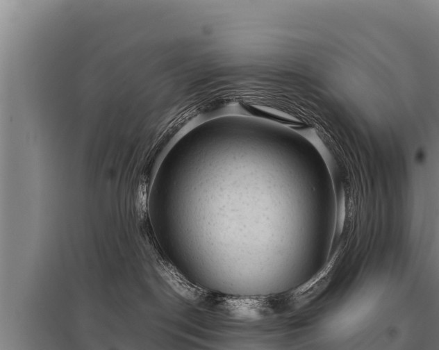 X0000095950190200801181430