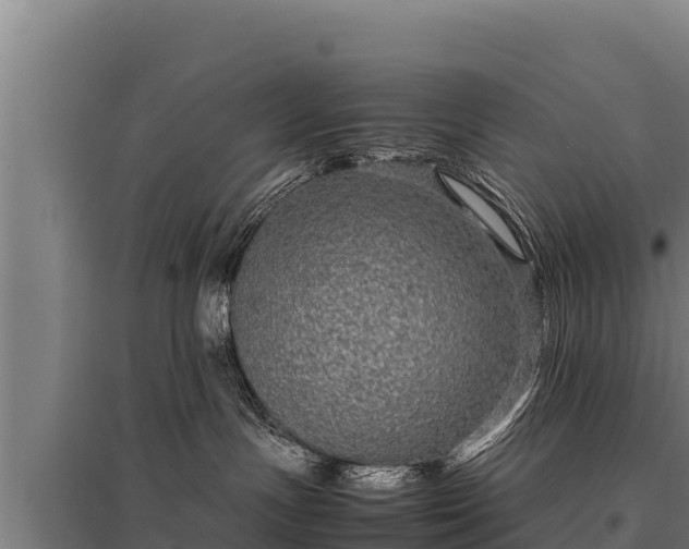 X0000095950191200801181430