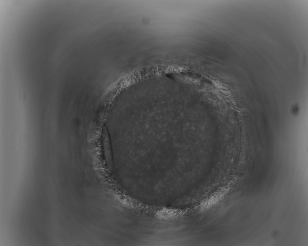 X0000095950192200801181430