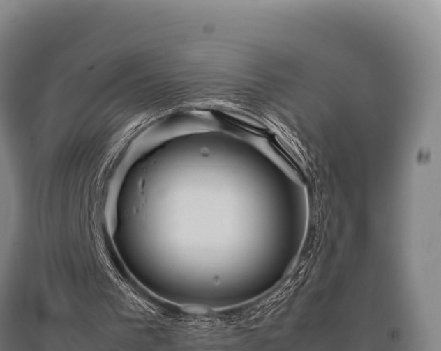 X0000095950193200801181430