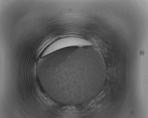 X0000095950194200801181430