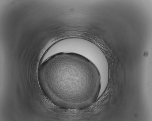 X0000095950195200801181430