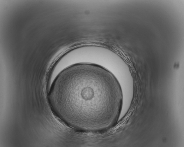 X0000095950197200801181430