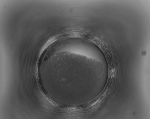 X0000095950198200801181430