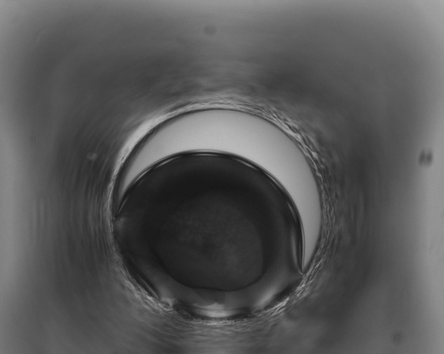 X0000095950200200801181430