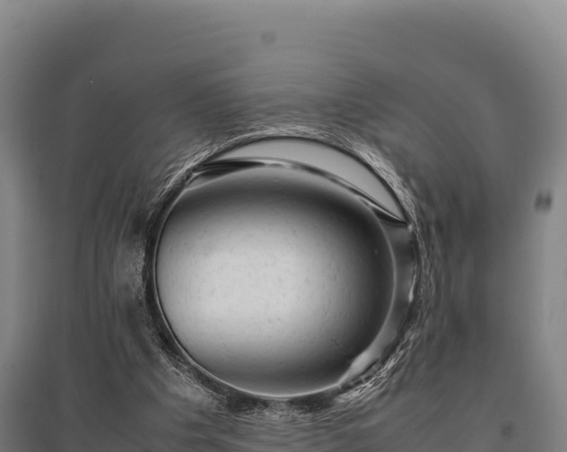 X0000095950201200801181429