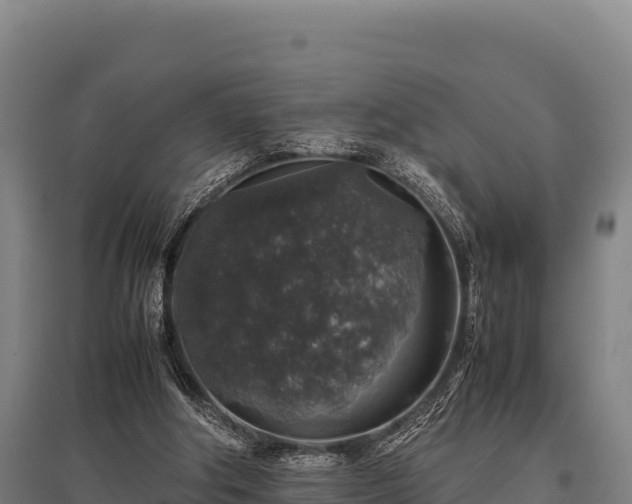 X0000095950202200801181429