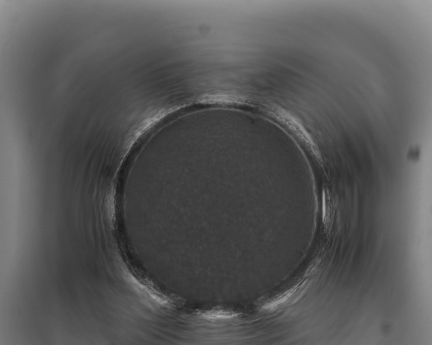 X0000095950204200801181429