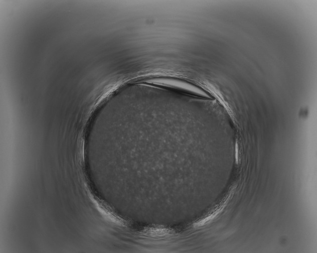 X0000095950205200801181429