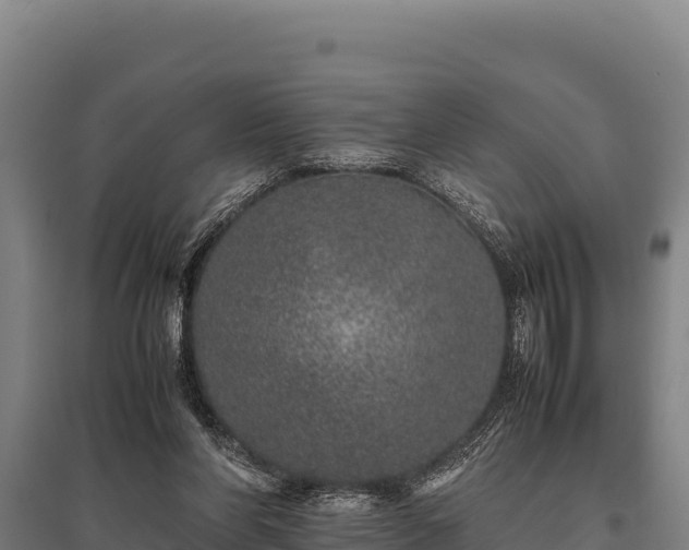 X0000095950206200801181429