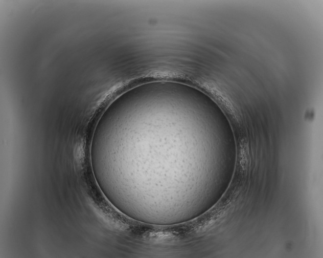 X0000095950208200801181429