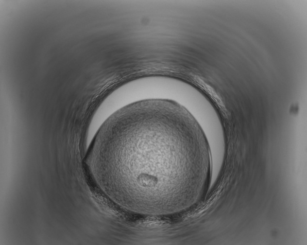 X0000095950209200801181429