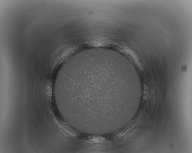 X0000095950210200801181429