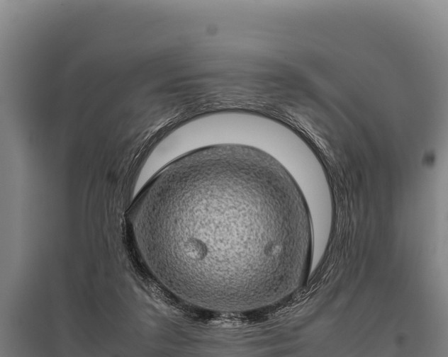 X0000095950211200801181429