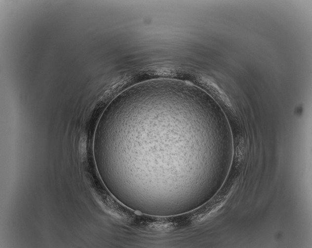 X0000095950213200801181429